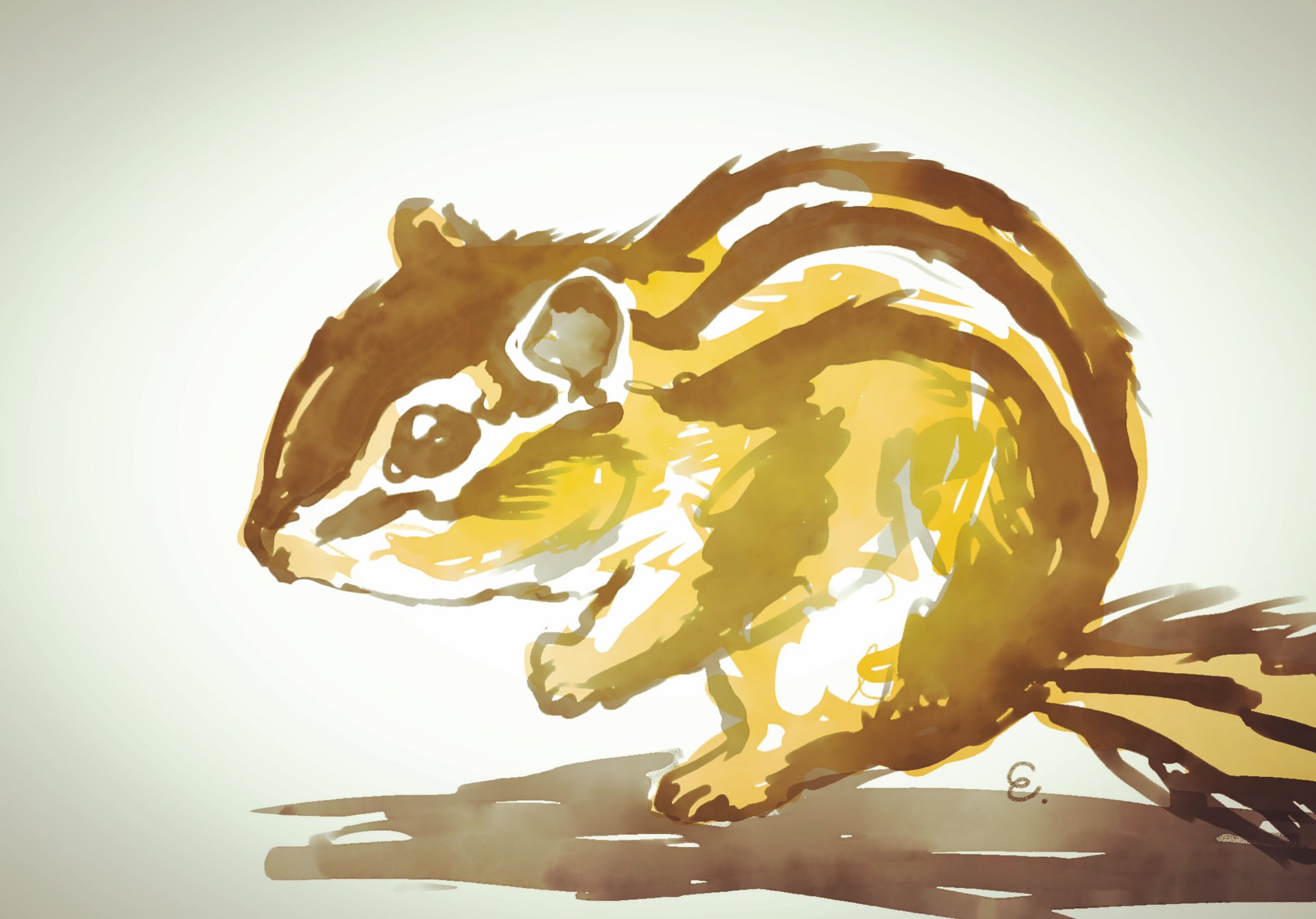 تويتر Little Shop 福士 3 24 27新宿東口出展 على تويتر おやすみなさリス 1日1絵 4月28日 シマリスカフェアースのおみせさん Chipmunk Earth のリス 休業中 また会う日まで Pottercafe リス柄食券の通販 テイクアウト営業あり Adneelvf