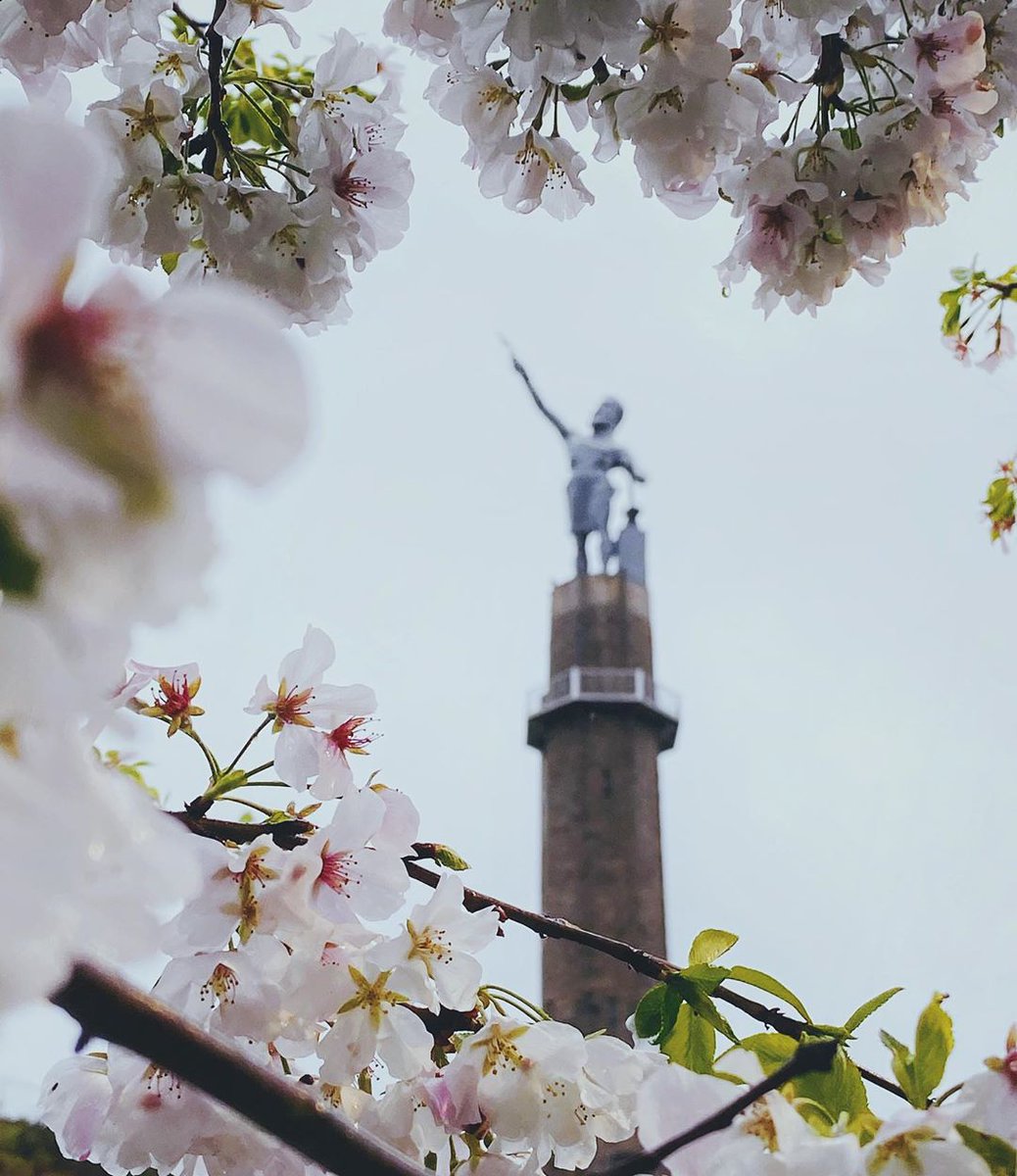 Greater Birmingham Convention & Visitors Bureau tweet media