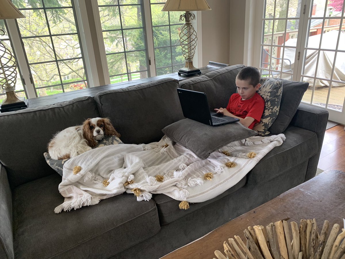MrsMcKeeverART's tweet photo. Some days, school @ home isn’t so bad. https://t.co/hqWqijUKYu