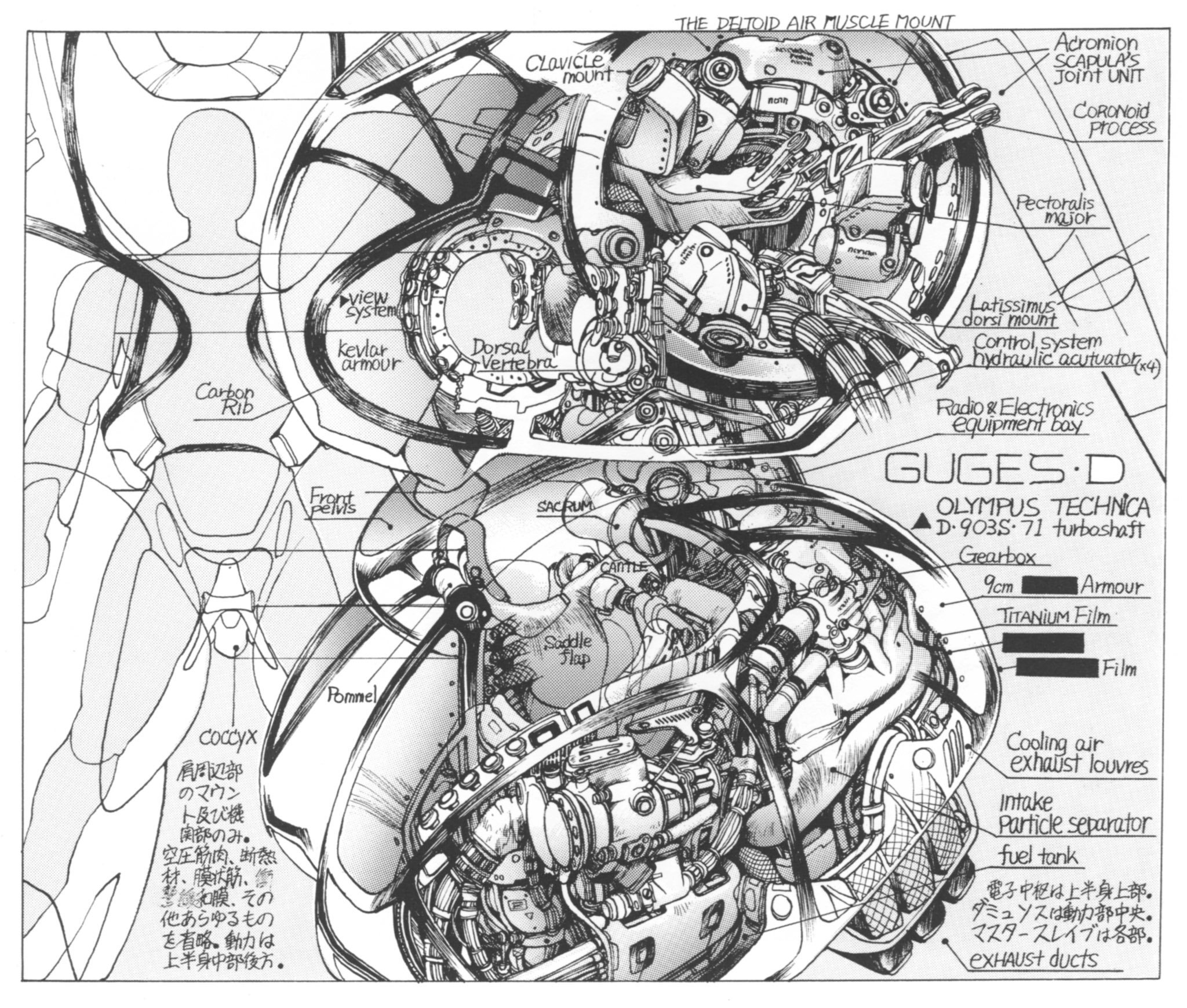 F-14Grumman on X: @M33Fatty @maariamph Appleseed Landmate or Gundress  Landmates. Both are the same basic equipment when you look at how theyre  piloted. t.co7d1okV6j34  X