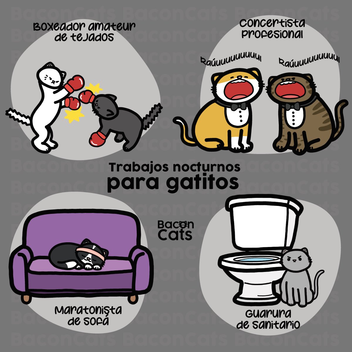 Baconcatsmx's tweet photo. Ahora entiendo, por eso es que los gatitos duermen todo el día 😴🐱 
¿En qué trabaja tu gato por las noches? 🤔 
#FelizMartes https://t.co/xJgXnnVIKg