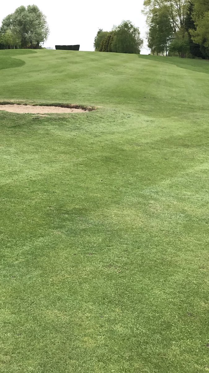 PikeHillsGC's tweet image. Fairways cut, course is looking fantastic, we are ready for you........ #notlongtogo #fingerscrossed