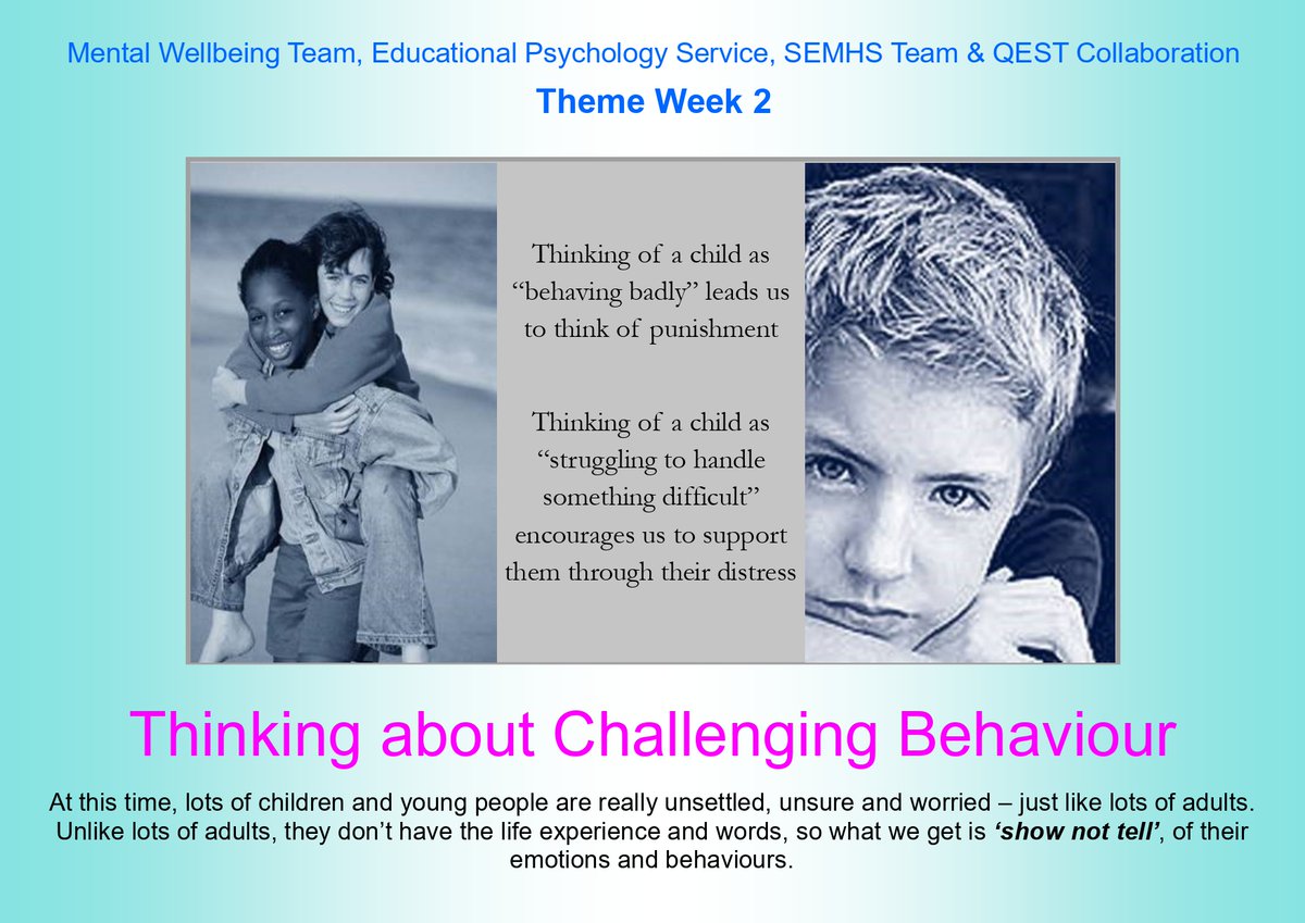 NEW BRIDGE GROUP tweet media