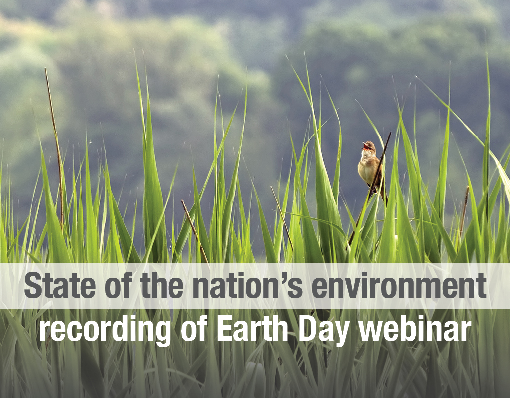 SWS_org's tweet photo. Long-time SWS member and award-winning water scientist,
Florida Gulf Coast University’s Everglades Wetland Research Park (EWRP) Director Dr. Bill Mitsch, presented a webinar on Earth Day's fiftieth anniversary, April 22: https://t.co/3meGk1c9e8
#Wetlands #WetlandScience #EarthDay https://t.co/mWPlMwGBv4