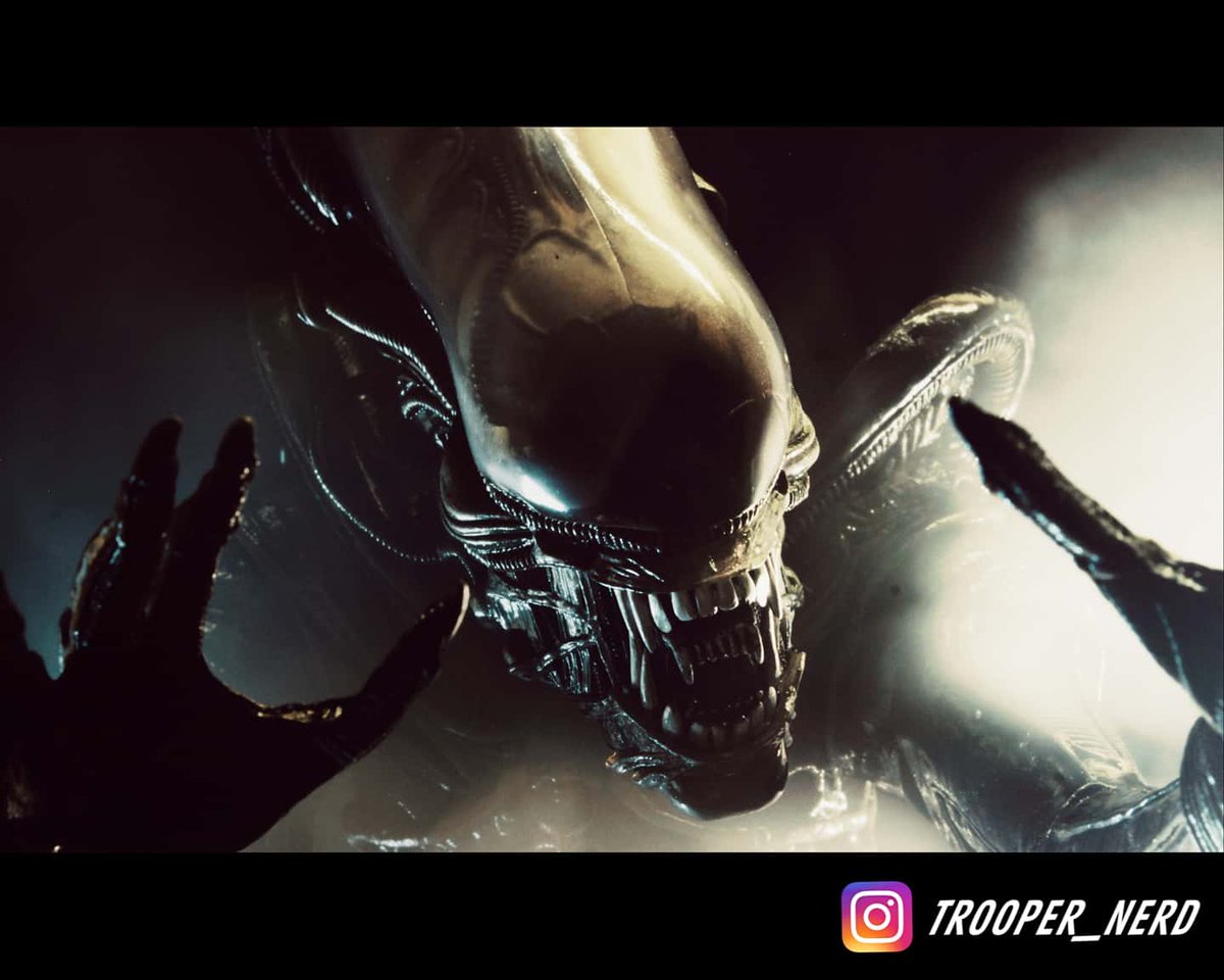 TrooperNerd1's tweet photo. One of my recent toy photos from my Instagram Account. 1:4 Scale Alien Big Chap by @NECA_TOYS #toyphotography #toyphoto #actionfigure #actionfigures #toys #photography #photooftheday #AlienDay2020 #Aliens #alien #xenomorph https://t.co/8UcldLVx2D