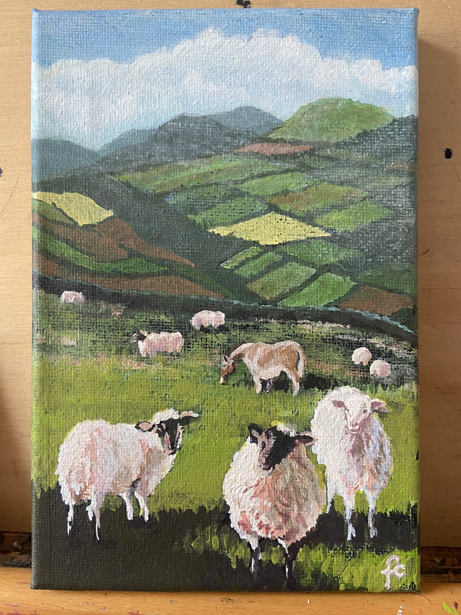 FrancesClancy's tweet photo. Latest painting. “Sheep in the Meadow”
Included are 2 of the work in progress.
Acrylic on canvas, 7” x 5”
*
*
*
#artwork #acrylicpainting #sheep #ireland #irishpaintings #patchworkfields #torontoartist #toronto #thesix #the6 https://t.co/wIHrLi4uhc