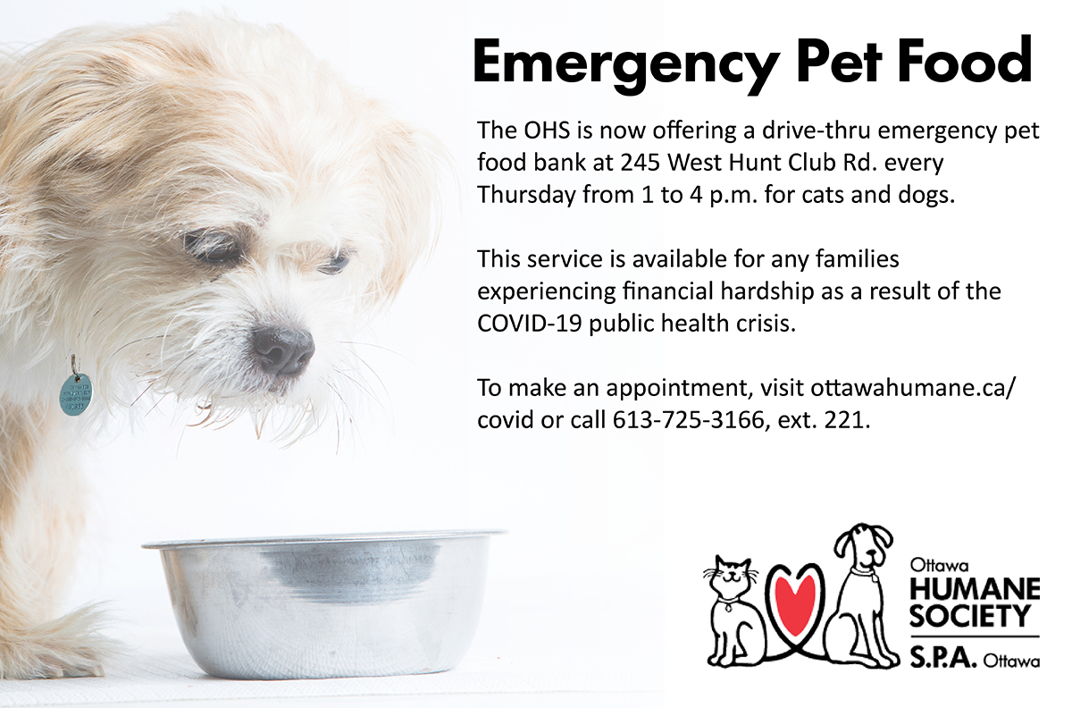 We’re here to help animals when they’re most vulnerable, both at the OHS and in the community. If you or someone you know is struggling to feed a pet due #COVID19 financial hardship, we can help. Visit ottawahumane.ca/covid-19.