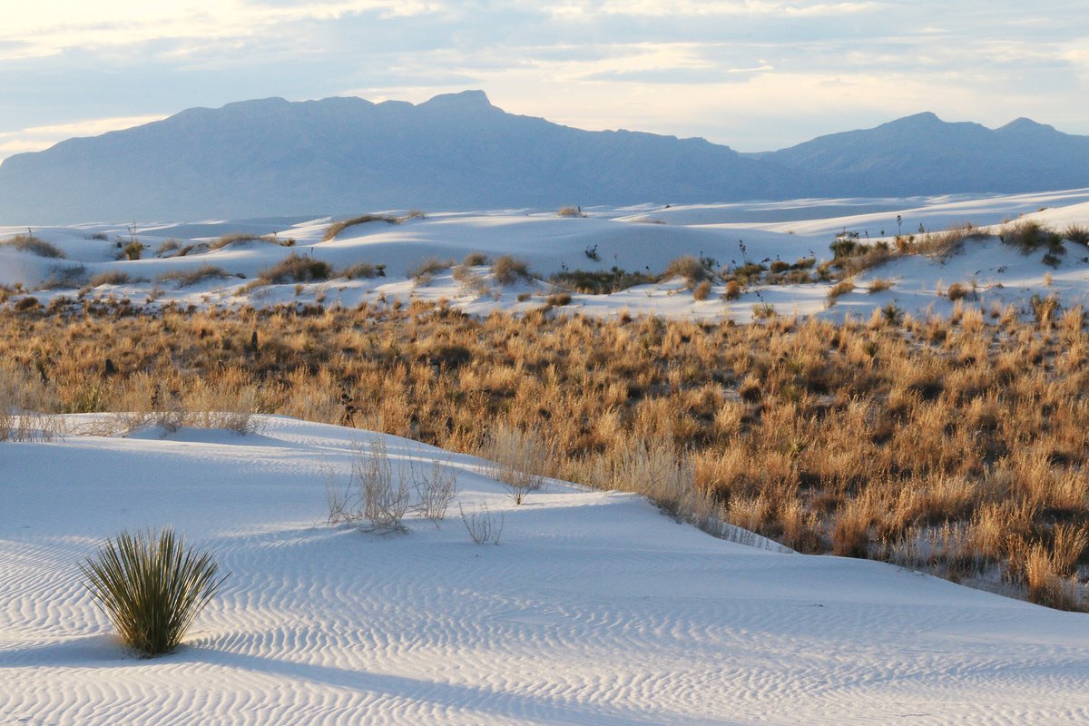 Anyone need some beautiful views from White Sands National Park in New