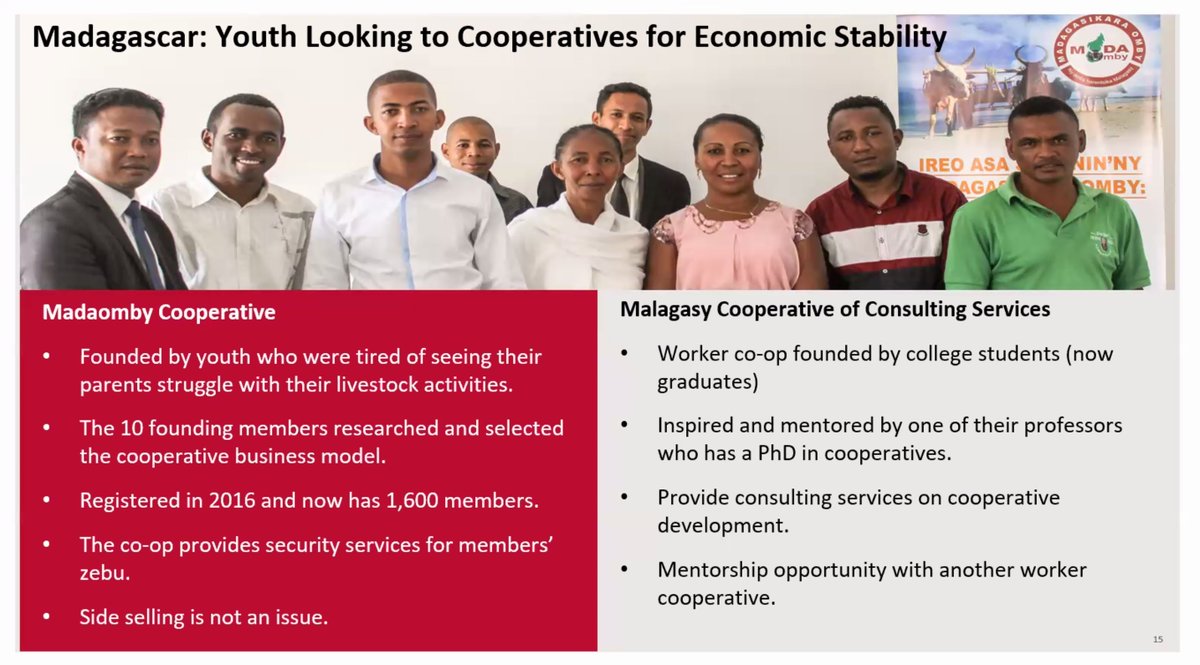 icacoop's tweet photo. 💡Revealing ideas came up at the YouthLead webinar "What can cooperatives do for youth?"

🔹Coops offer the opportunity to put together skills and talents to reach bigger markets.

Speakers from 3 @usocdc organisations gave great examples and recommendations.

 #coops4dev🌍 https://t.co/0T5f2FFpAE
