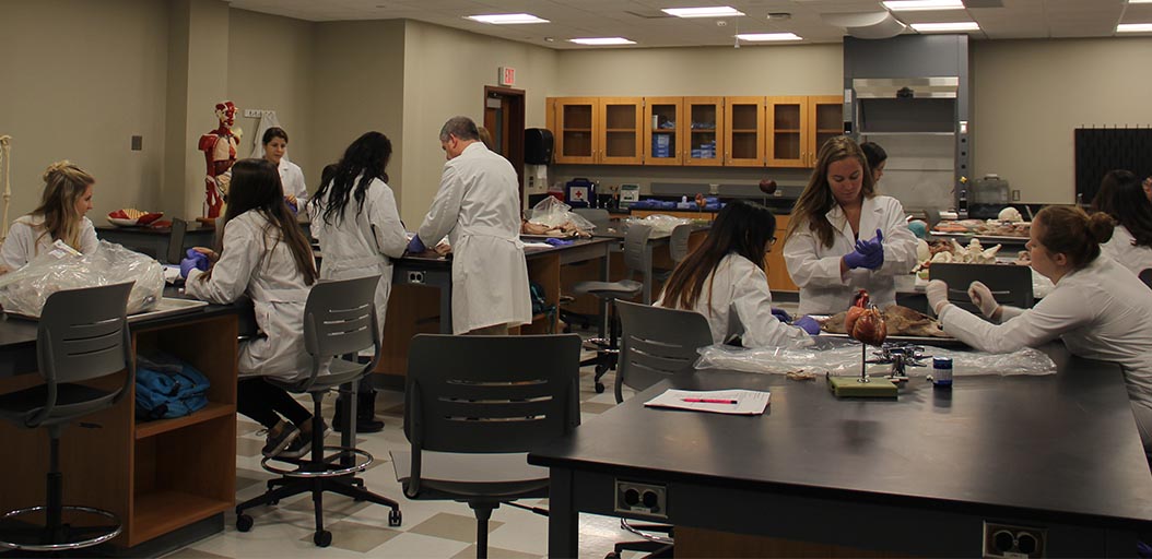 Interested in biology? Looking to pursue a career in medicine? Come find out about opportunities as a biology major at Fisher from Daryl Hurd, associate professor and chair of the biology department this Thursday, April 30 at 5 p.m. Register today at go.sjfc.edu/visitfisher