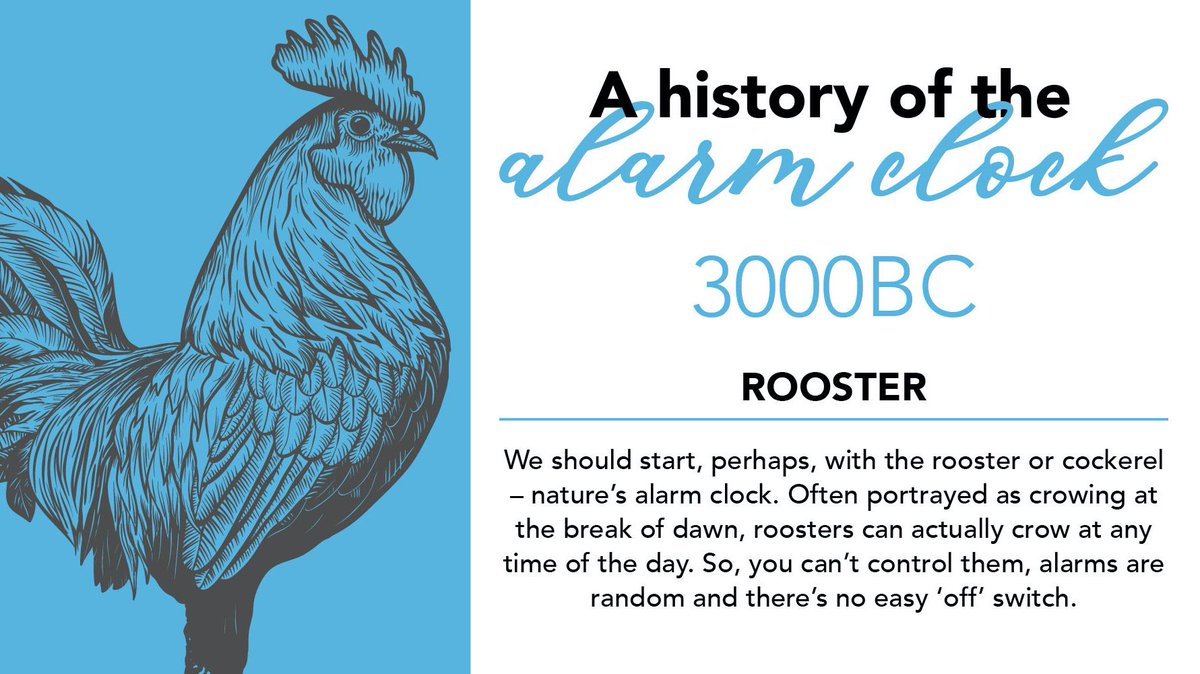 This week’s ‘infosnippet’ looks at the history of the humble alarm clock, starting with the rooster – nature’s ‘waker-upper'. To see the full infographic about the history of the alarm clock, click here: buff.ly/2Vg0N3U 🐔