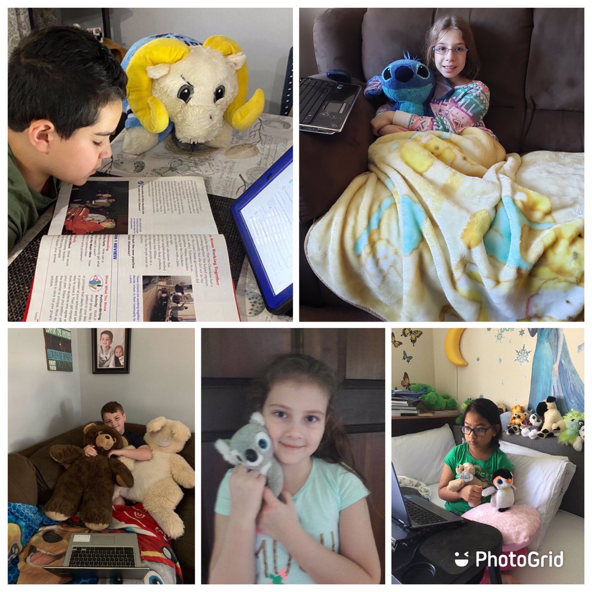 M_Lewert's tweet image. Some of my cuties working with their favorite furry friends! #StuffedAnimalDay @joanne_shafer @WdbgSchools