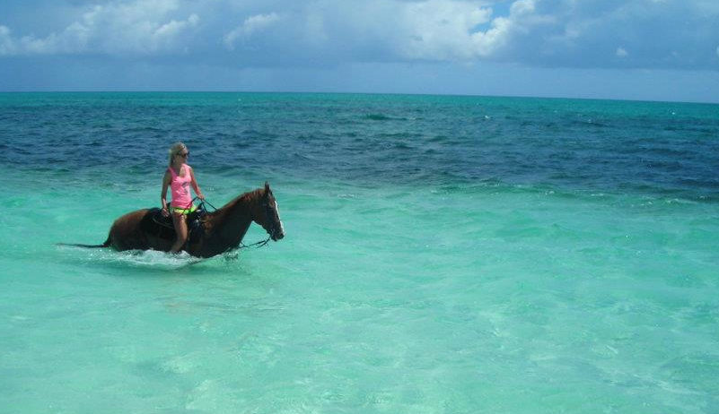 RainforestRides's tweet photo. Lonely without all the tourists.... #carribeancowgirl #dreamlife #liveyourdream #runningquarter #farmlife https://t.co/hQKRY2P11r