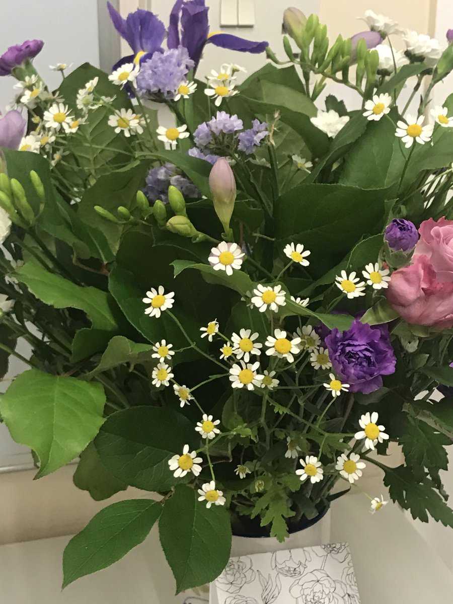 We received these gorgeous flowers from a resident’s family as a thank you for looking after and supporting their loved one. Thank you so much Jane North and family. From all of us #Baroda Care family.