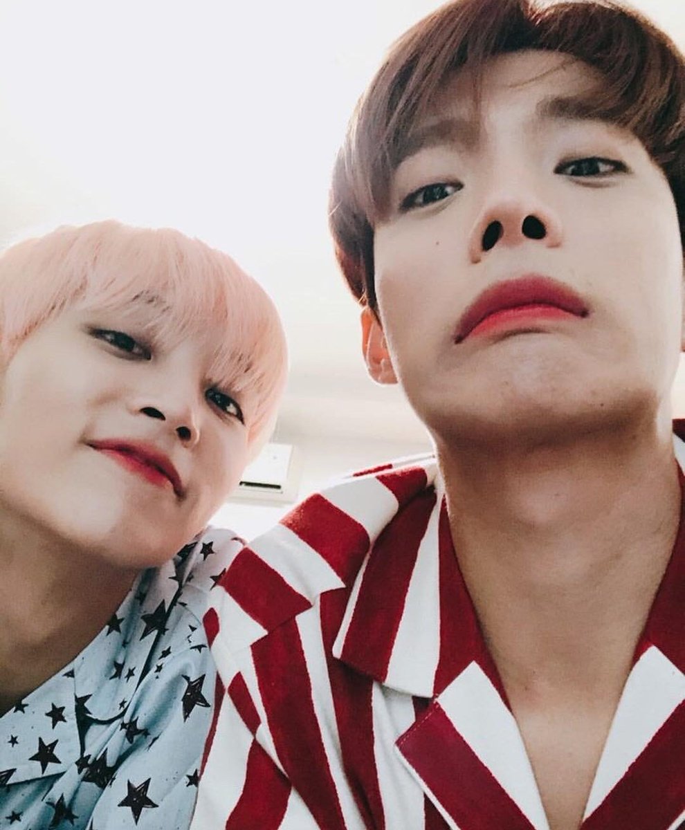 svt things tweet media