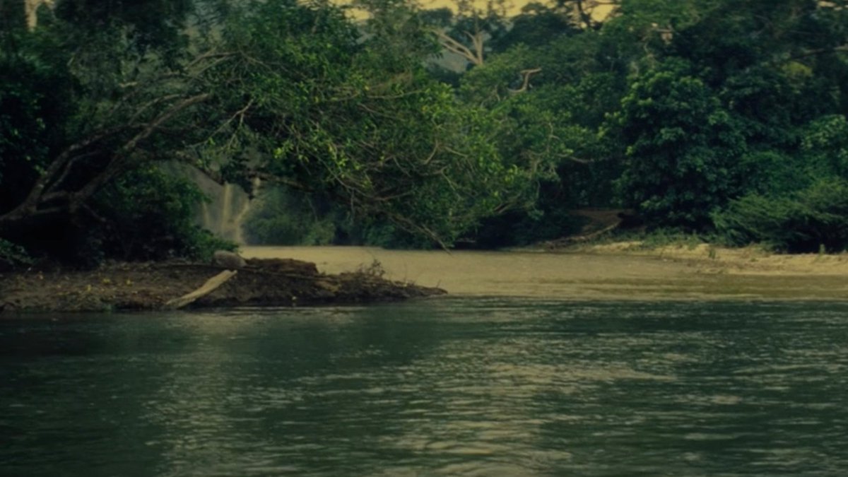 In case your Zoom background is in need of a refresh.