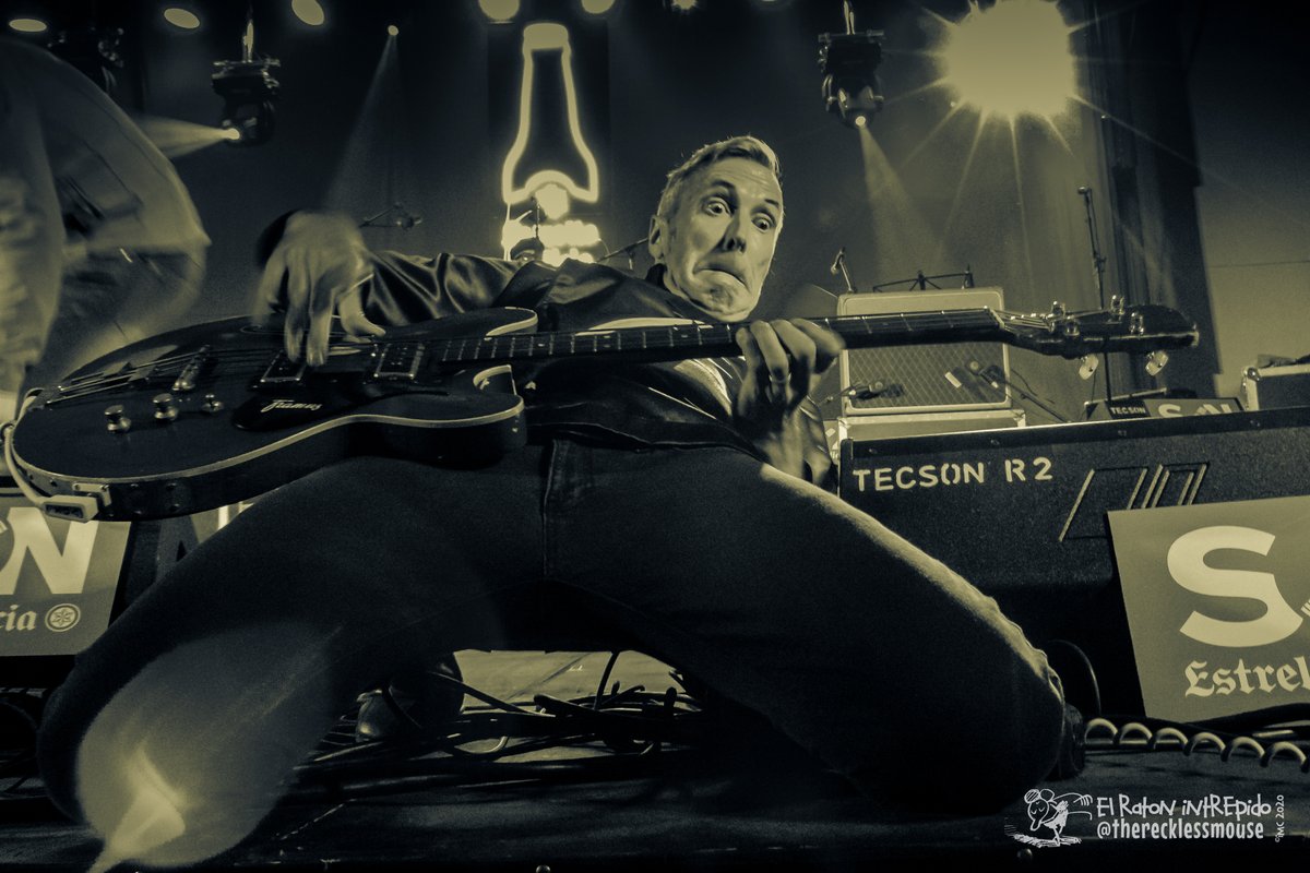 wrecklessmouse's tweet photo. Throwback memories. Buzz Hagstrom, bajista de The Woggles, en @Elpurpleweekend 2016. 11 de diciembre de 2016. #throwbackmemories
#PurpleWeekend
#thewogglesband
#Purple2016
#PurpleWeekend2016
#Confinement
#Seleniumtoning
#Gigphotography #Elratonintrepido 🐁
#Therecklessmouse 🐭🧀 https://t.co/357PGjWGnI
