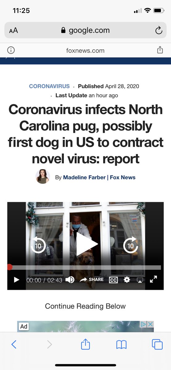 willboyd35's tweet photo. No... Give me corona if that means dogs can’t get it. I’ll bite the bullet for these good boys. https://t.co/CcUSWMXR7D
