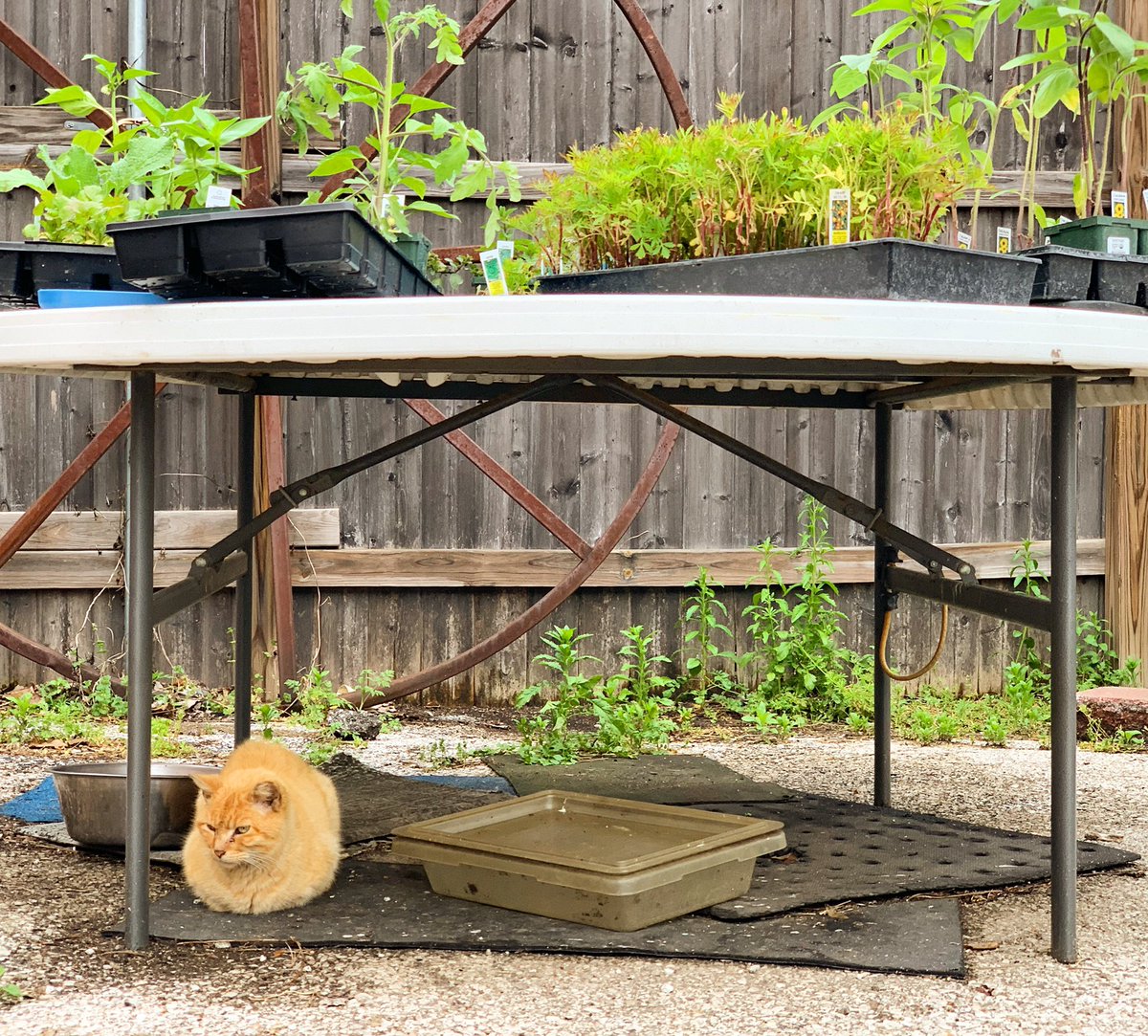 Fair Shares CCSA tweet media