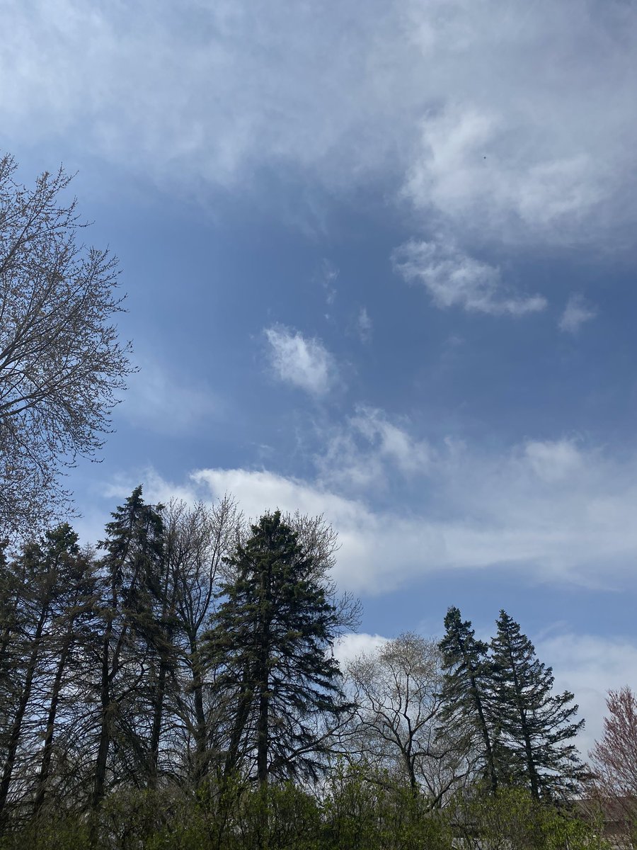 Marlowe_XC's tweet photo. Beautiful day for a run!!! Hope you are all taking care of yourselves!!! #MMS158XC #marlowe158 #selfcare https://t.co/urPWokzFNG