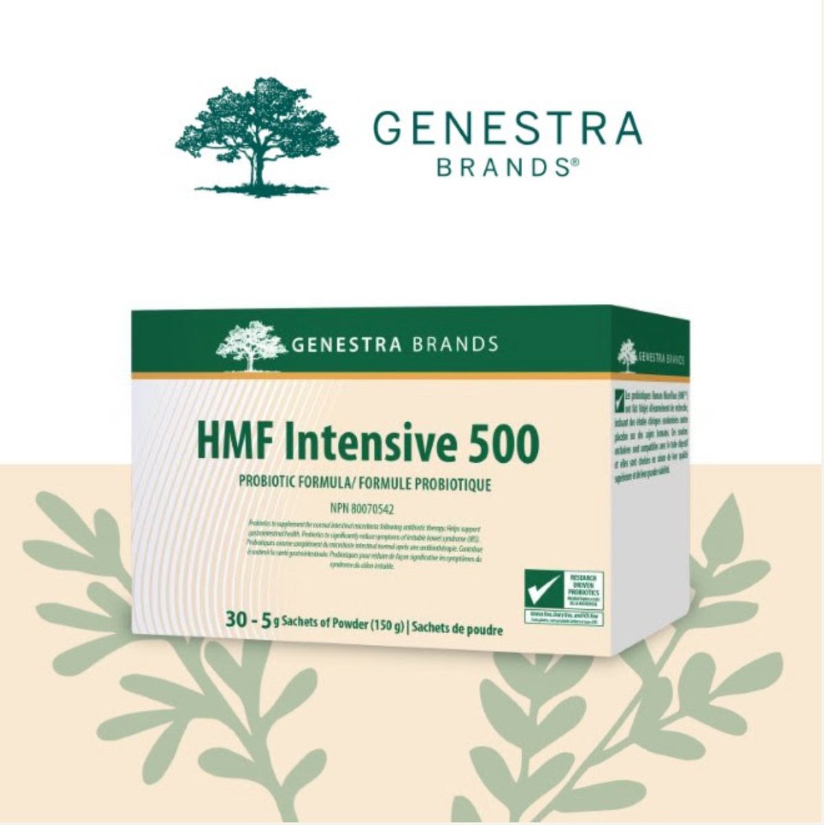 BACK IN STOCK ALERT: HMF #Probiotics!! 🍃

✅ 500 billion CFU per dose!
✅ Supports GI health
✅ Convenient, once-daily powder format
✅ Backed by over 20 years of clinical evidence

Shop Now: buff.ly/3cXbwWU <a href="/Genestra_Brands/">Seroyal</a>