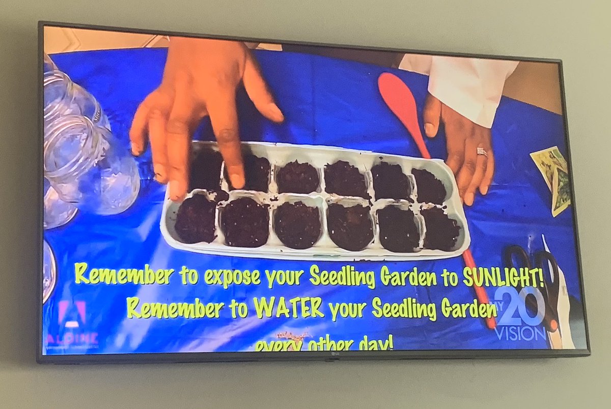 Watching Mrs. Science 🔎👩🏾‍🔬 on My20 🖥 in the Science lab showing students how to create their own terrarium & seedling 🌱 garden! @TeacherMFleming @STARS_902 @Anderson_Astros #EarthDayisEveryday #AldineAtHome #WeAreAldine