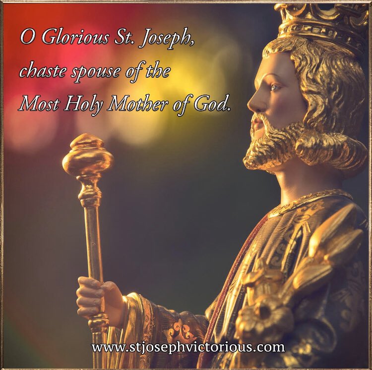 SaintVictorious's tweet photo. Starting today we will pray the Seven Joys and Sorrows of St. Joseph. Click the link and let’s pray together. 👇🏼
https://t.co/goPcOPGm87

#stjoseph
#stjosephvictorious
#prayer
#saint
#catholic
#catholicchurch https://t.co/tyP5mLjmRS