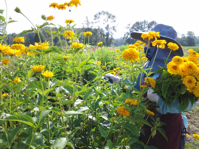 oceansolutions's tweet photo. “This study asks what #globalwarming means for the health of agricultural workers picking fruits and vegetables.”

Early Career Fellow @drticklejar on new paper modeling #climatechange scenarios &amp; health strategies. https://t.co/5SIg4X9QCD https://t.co/AQ3yhjn9bP