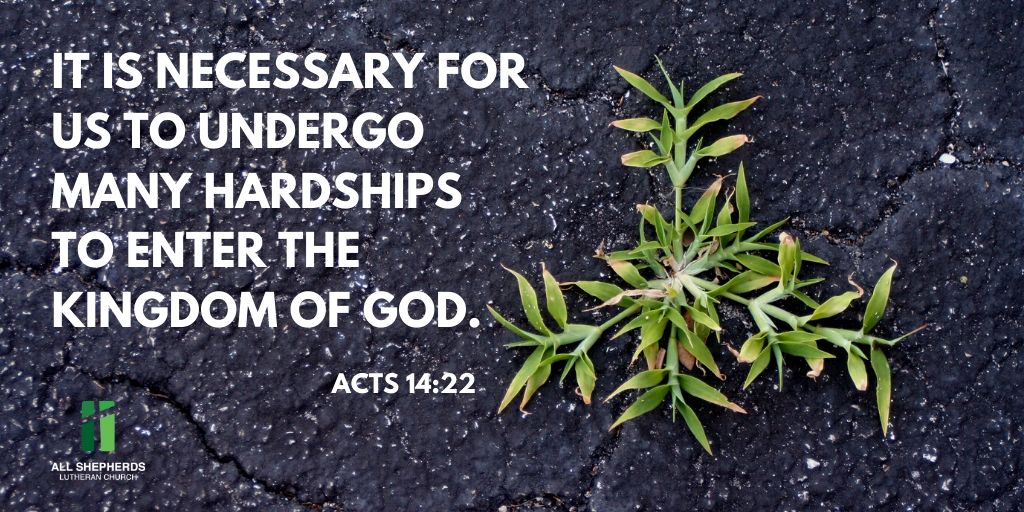 AllShepherdsLC's tweet photo. Gracious God, we are thankful that you will never abandon us. Help us to hold fast to You during times of uncertainty. By your grace, sustain us, calm our fears &amp; strengthen us to persevere through all of our challenges. Amen. Submit a prayer request at https://t.co/5PYLCO9JbJ. https://t.co/vGtTeOo1G8