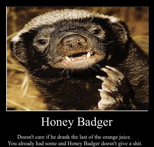 MistaO74's tweet photo. I guess you can say... I’m somewhat of a Honey Badger myself! Don’t assume you are anything to me.... because more than likely I’ll just Honey Badger you 😂 https://t.co/kN5eH7lok5