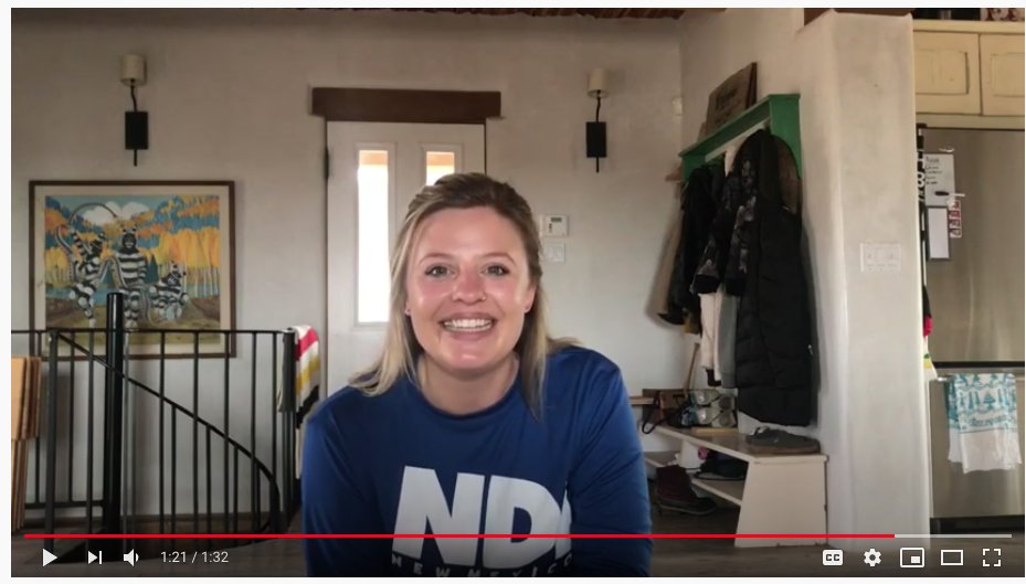 NDI New Mexico tweet media