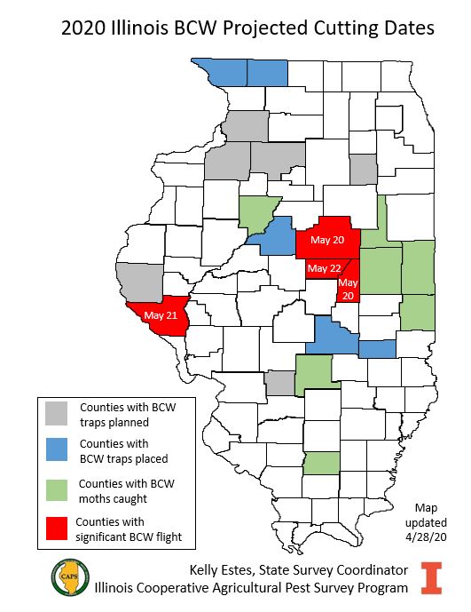 Weekly #blackcutworm map update - flights increasing! And sneek peak at our new interactive map! Just scroll over the counties for projected cutting dates (whatcha think?!?). More exciting things coming with trapping this year!
bit.ly/3cWD1Qh