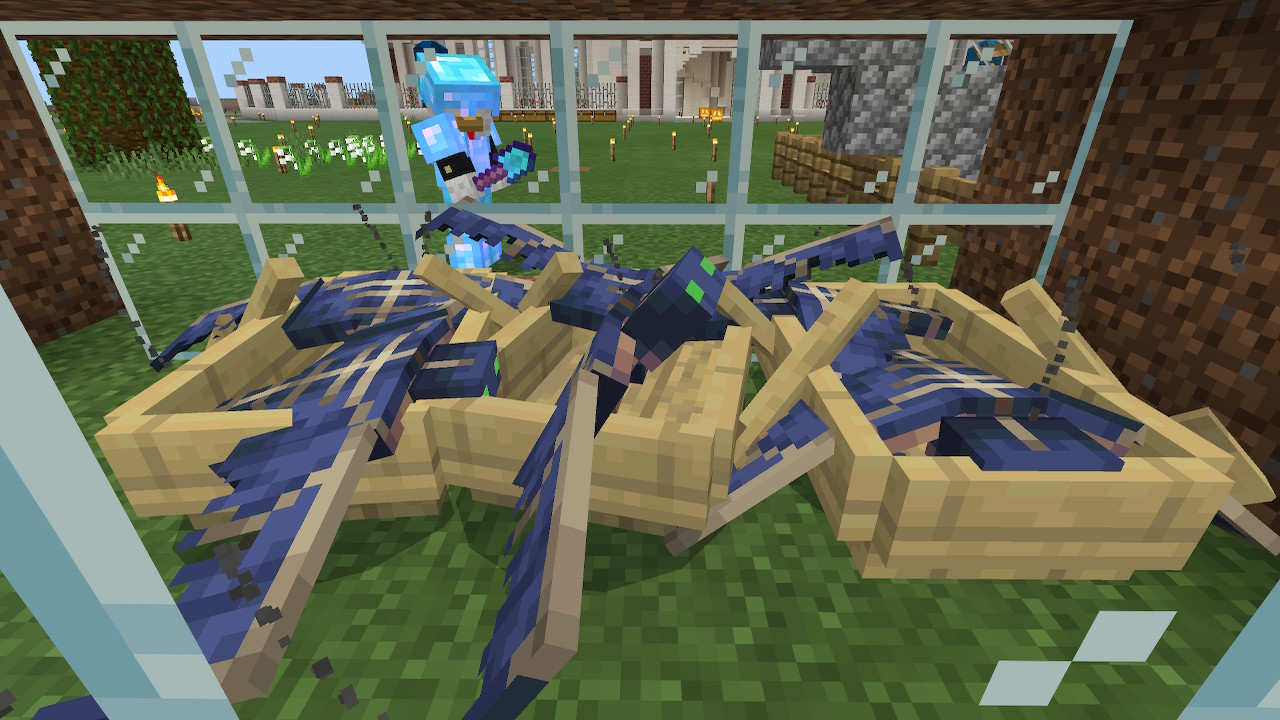 むーみんのゲーム置き場 ファントム6匹捕まえた Minecraft マイクラ マインクラフト Nintendoswitch T Co Xfzt7wwgqs Twitter