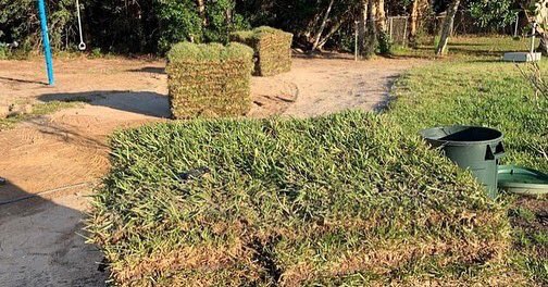 Path2FreedomInc's tweet photo. Thank you Triple J Grassing! Their generous donation of several pallets of sod have definitely added aesthetic &amp; beauty to the grounds of Magnolia.
#Magnoliahouse #humantraffickingawareness #swfl #tripplejgrassing #sod #newmulch https://t.co/NtsKPFw2Y1