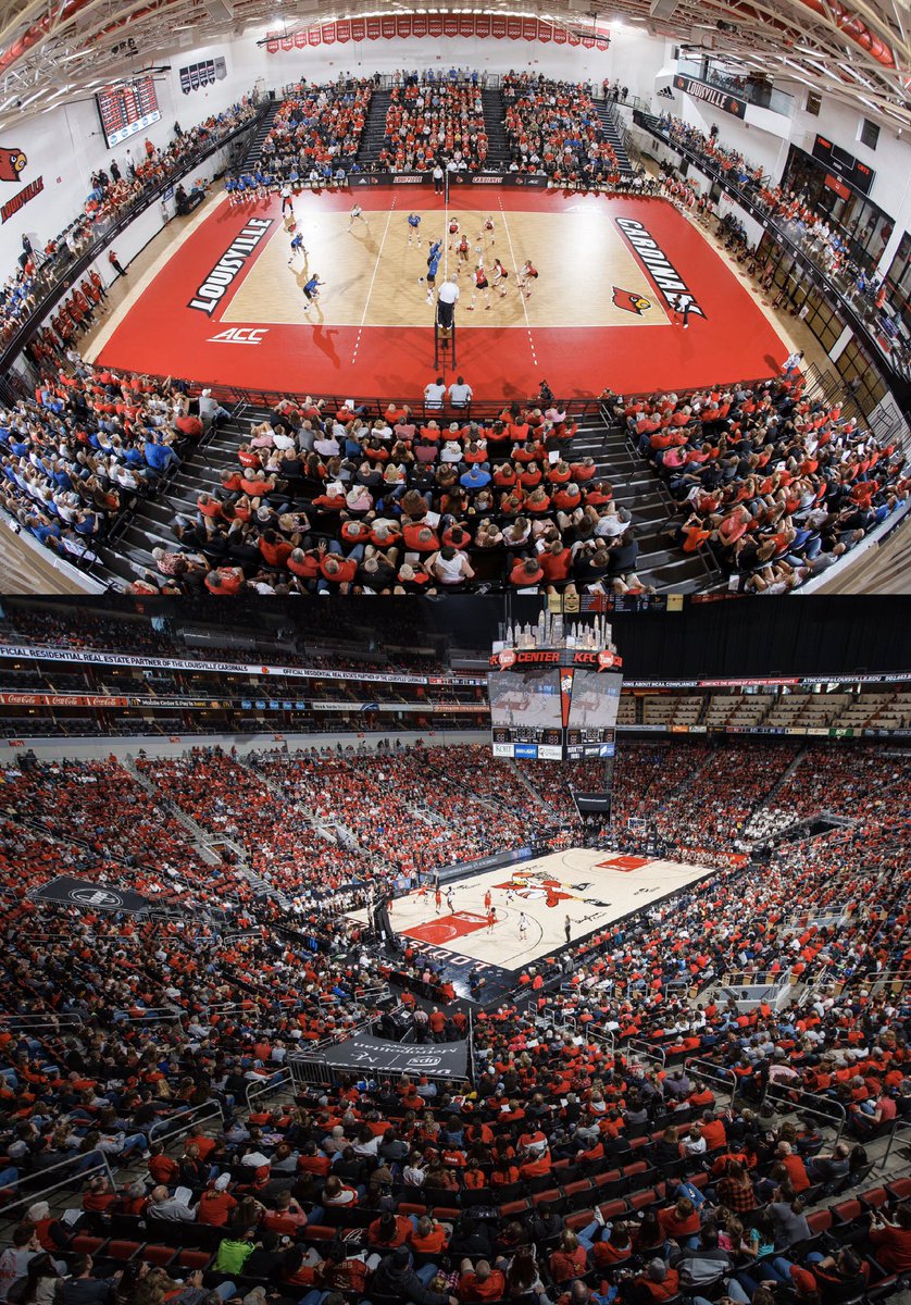 Sydni_Sch's tweet photo. I’m extremely excited to announce my verbal commitment to further my academic, basketball, and volleyball careers at the University of Louisville. Thank you to all that have supported me through this process. All glory to God! #gocards https://t.co/tfyrcUl4Kt