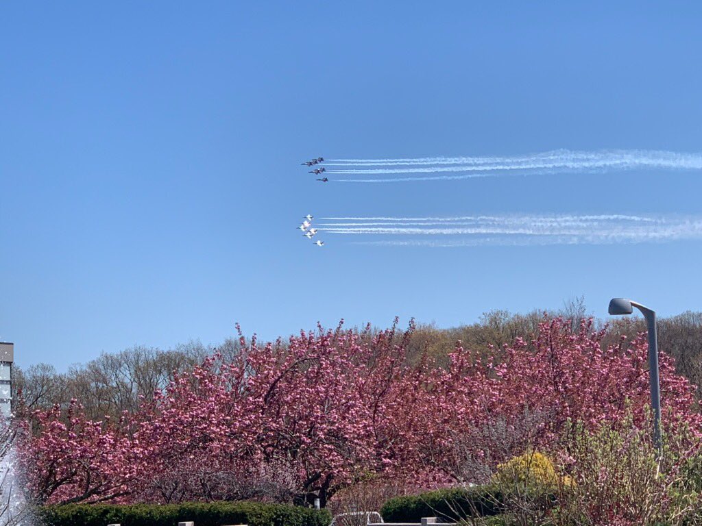 CEASSBU's tweet photo. Proud of our doctors, nurses and everyone @StonyBrookMed and @stonybrooku answering the call - stepping up to save lives every day. #InThisTogether #FarBeyond https://t.co/A7rO5efvtU