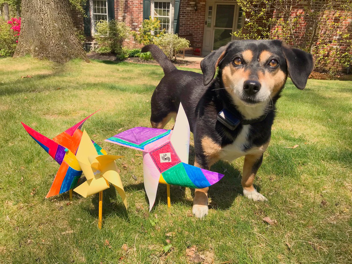 JenniferRBarr's tweet photo. Happy #virtualpinwheelday @haverfordedu! ❤️ https://t.co/tWZZ9Azqaj