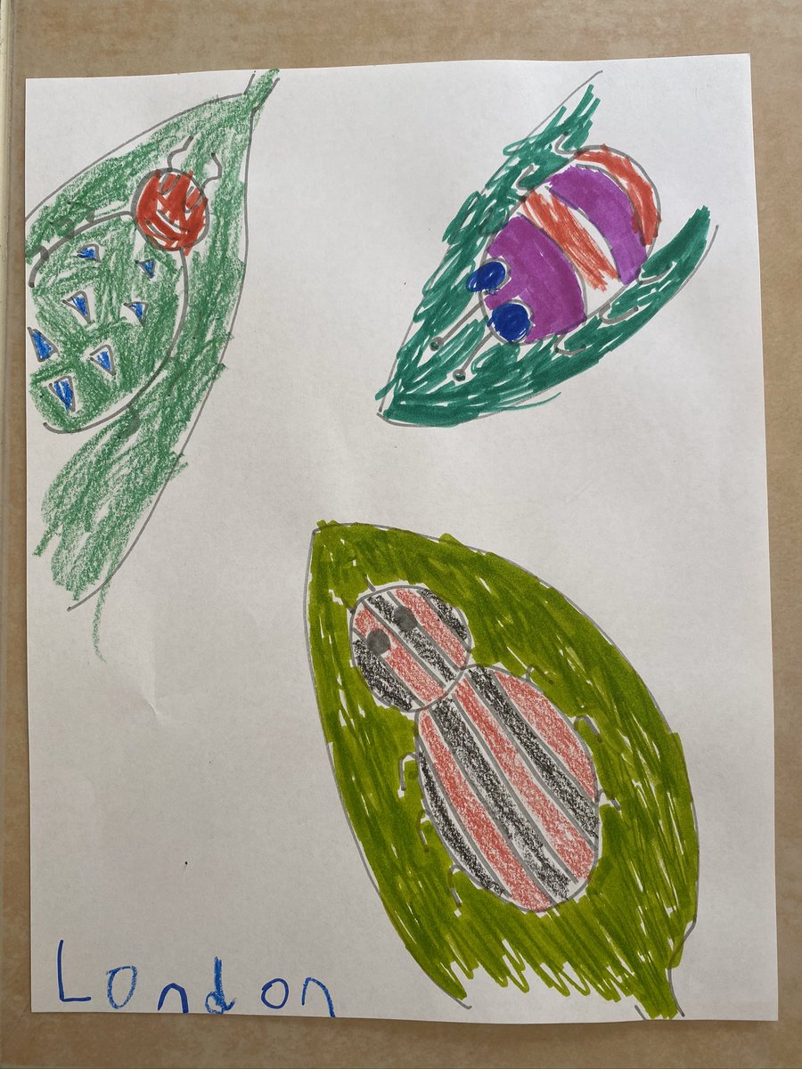 Jacqueline tweet media