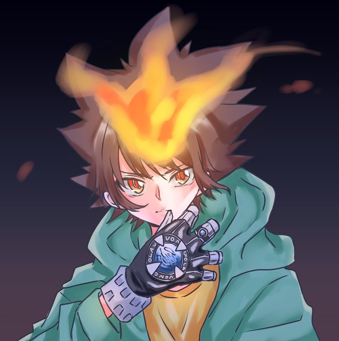 家庭教師ヒットマンreborn 高画質 のtwitterイラスト検索結果