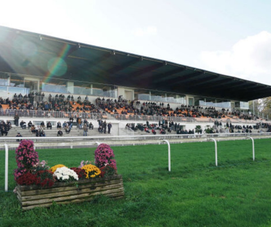 ParisTurf tweet media