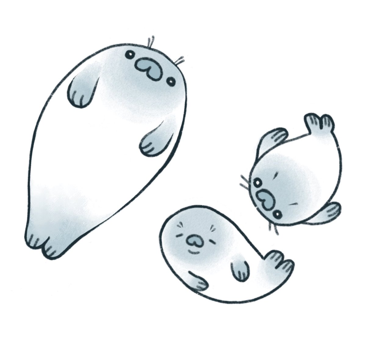 petra_nordlund's tweet photo. Seals https://t.co/0PEsLGpAwO