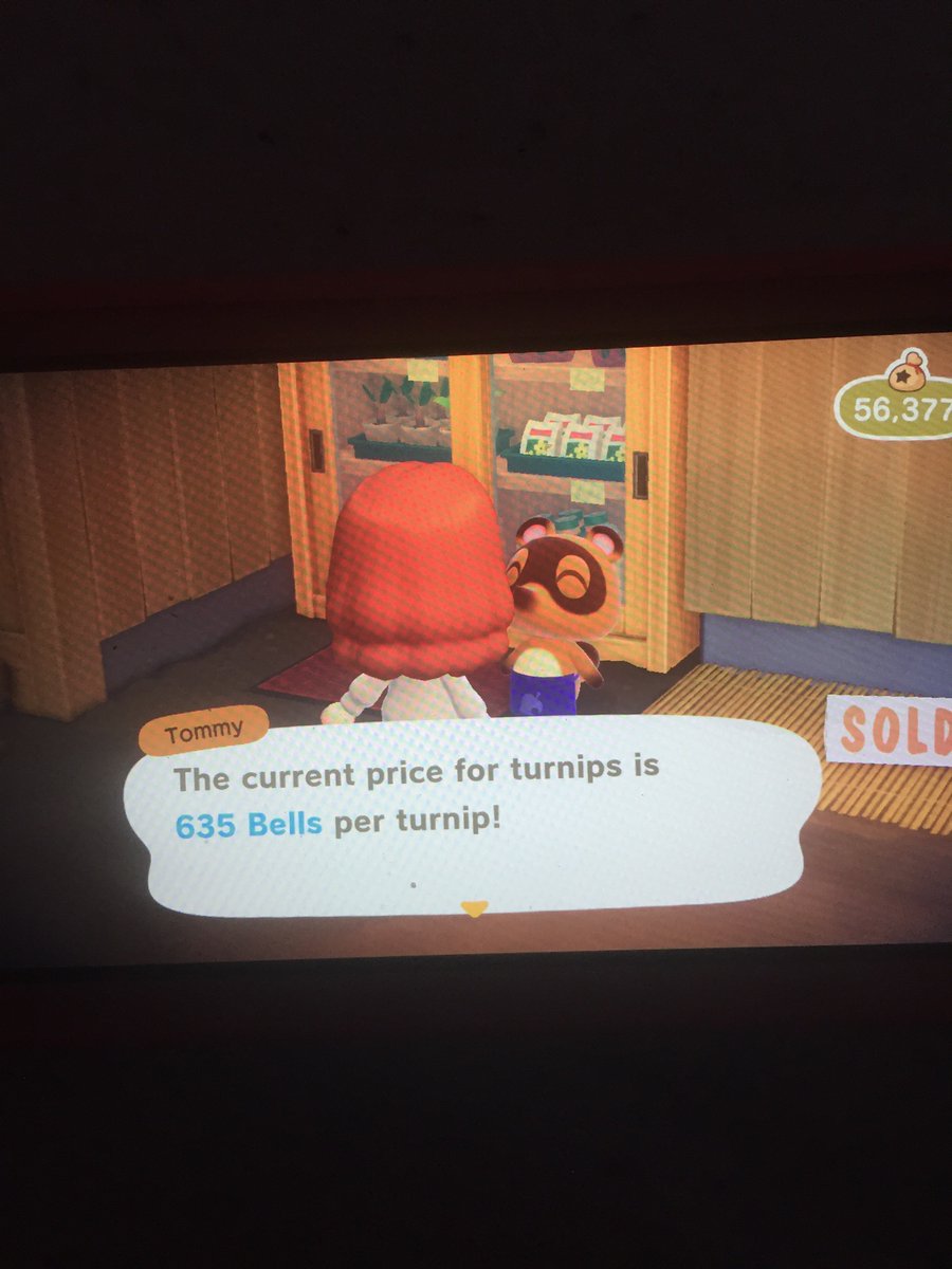 Marissa Guerra tweet media