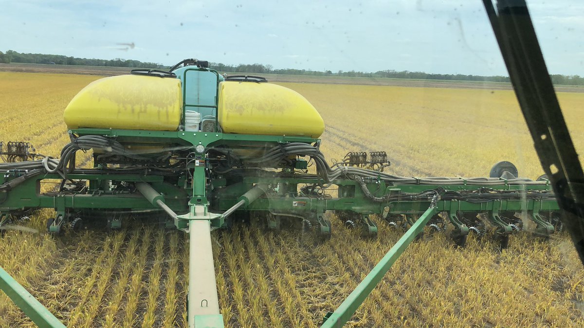 Andrewlee1814's tweet image. Last round of #corn planting and now time to clean out and plant #sweetcorn. So far #plant2020 better than last year.