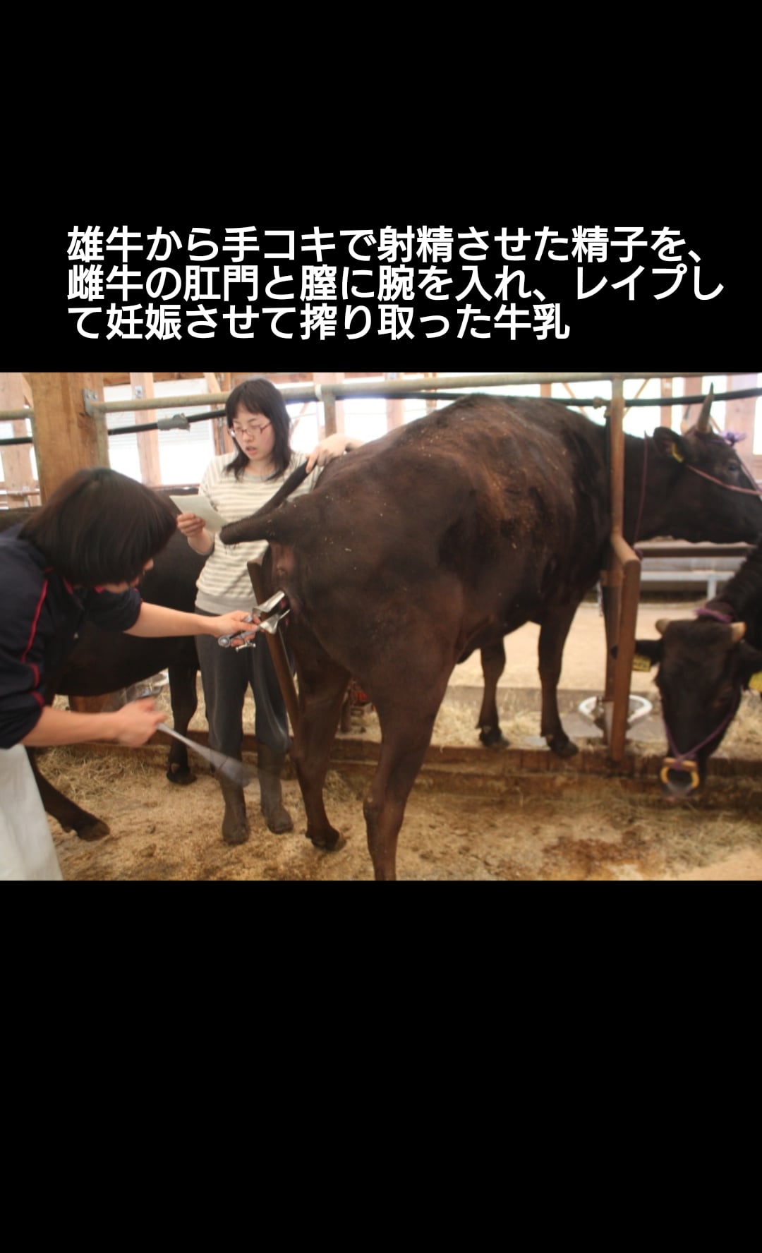 ネイティブベジ男 on X: 牛肉や牛乳 t.coIGfpE97L2w  X