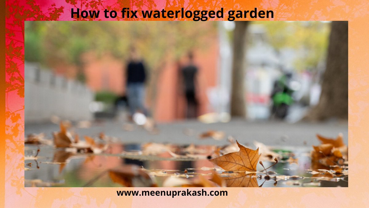 MyGardenCafe's tweet image. Stumbling upon a waterlogged backyard may as nicely be each gardener’s worst nightmare. A boggy garden is usually the consequence of fixed heavy rainfall and often happens over winter.  #Howtofixwaterloggedgarden #Howtoimprove waterloggedgardendrainage # meenuprakash.com/how-to-fix-wat…