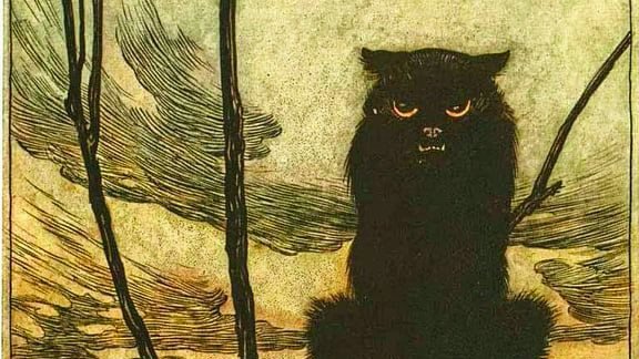 plot_wist's tweet image. ~Netflix and Chill Crime Mystery Movies Part I

&quot;Whatever they found, I think it&apos;s safe to assume that it is very bad.&quot; Tanner Bolt
--&amp;gt;aplotwist.com/netflix-and-ch…
#movies #QuarantineLife #Corona