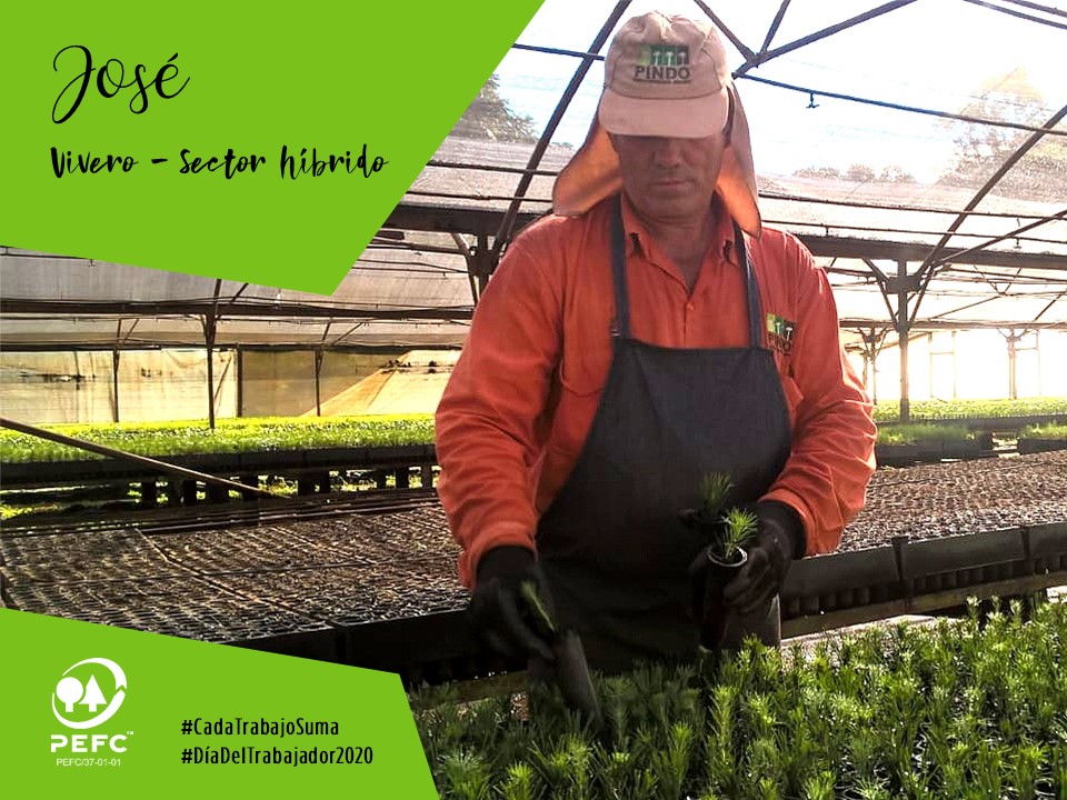 CERFOAR's tweet photo. 👷♂️🌿José, vivero - sector híbrido
#CadaTrabajoSuma 👷♀️👨🏫👨💻👷♂️👩💻👩🏫
#DíaDelTrabajador2020 #GestiónForestalSostenible
#PEFCtuelecciónresponsable #20yearsofcaring https://t.co/dsRJrBE8GN