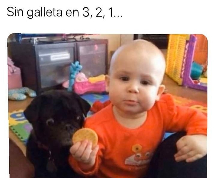 mari_dogeando's tweet photo. 😂💕🐕Cositas de perros
@mari_dog_trainer

https://t.co/6hfvWhpxNf

#perros #mascotas #animales #perrhijos #dog #doglover #educacioncanina #consejoscaninos #educacionenpositivo #dogfashion #happydogs #perroamor #perrosfelices #perrosenmadridespaña #perrosmadrid #perrosguapos https://t.co/rsRAYtmBzo
