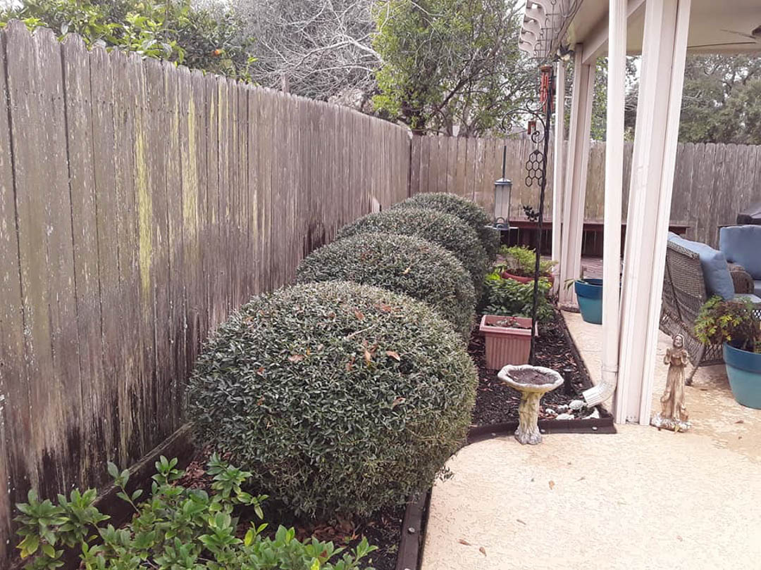 LiederLandscap1's tweet photo. With our company's tree trimming and pruning services, you can have your trees shaped and pruned the way you want while having any dead or overgrown branches removed. #TreeService https://t.co/zIWLh7t6wq https://t.co/Xgw2yQMdbi