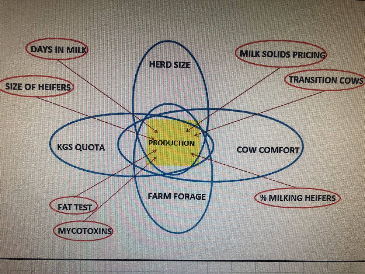 Somebody asked me how to improve dairy production efficiency. Complicated question so I made up this picture to illustrate my response <a href="/MarkTheFeedman/">Mark Schokking</a> @MasterfeedsCDN